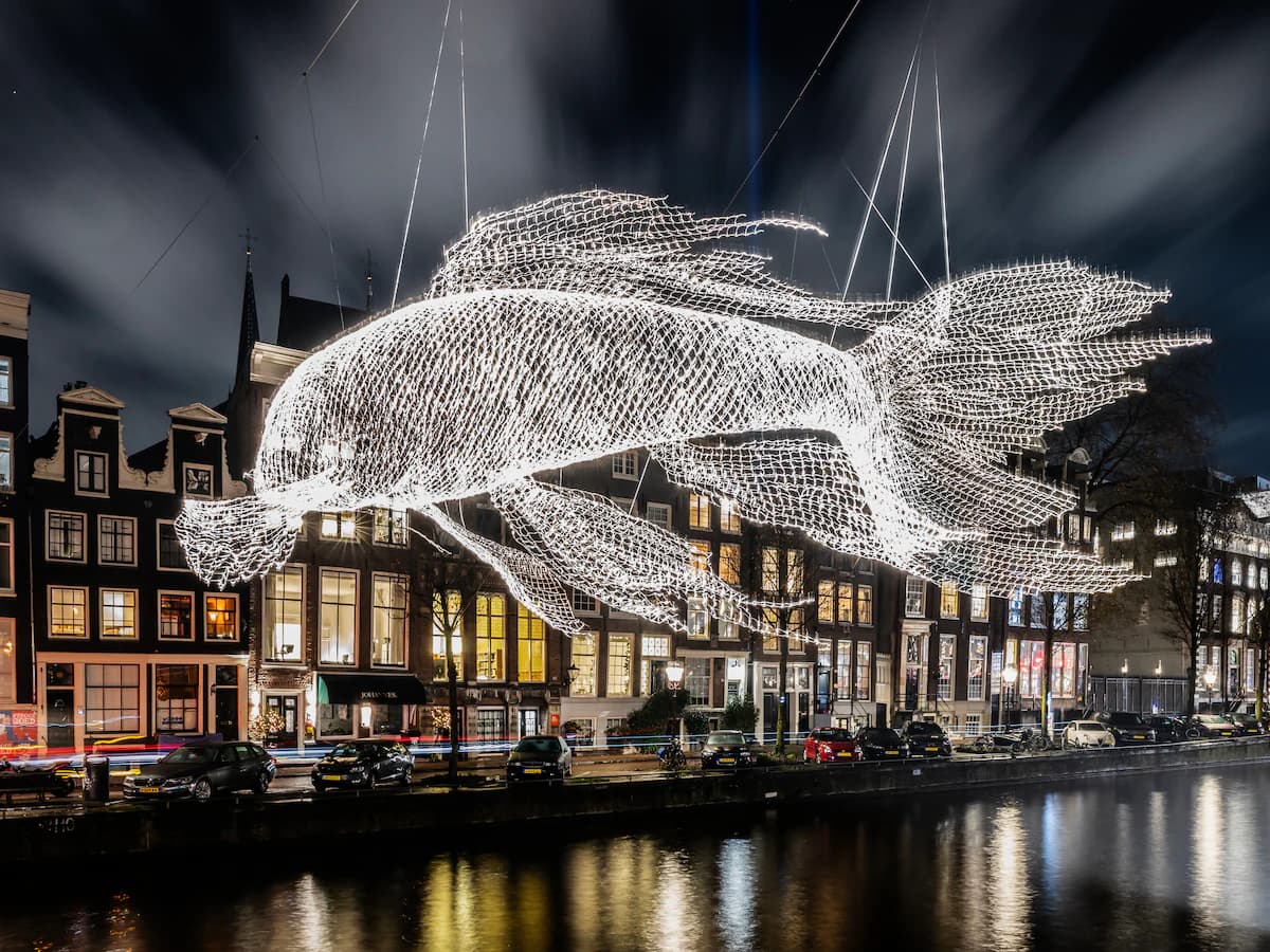 A City Transformed by Light